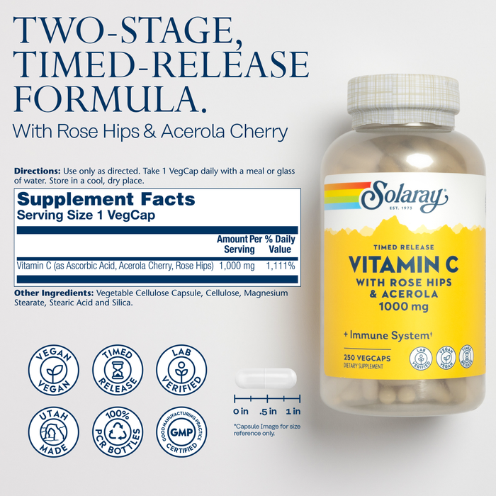 SOLARAY Vitamin C 1000mg - Time Release Vitamin C Capsules w/ Rose Hips and Acerola for Bioflavonoid Support - Two-Stage, All-Day Immune Support - Vegan, 60 Day Guarantee, 100 Servings, 100 VegCaps (250 VegCaps)